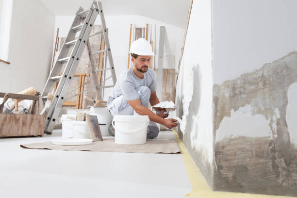 Best Fire-Damaged Drywall Repair  in Nolensville, TN